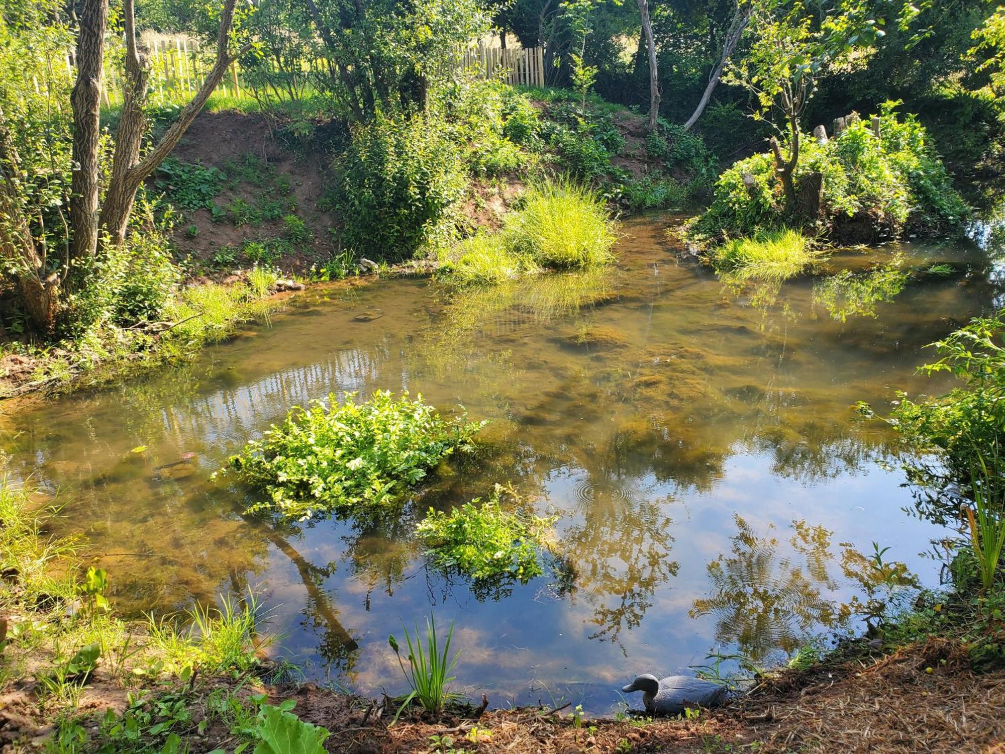 Le Clos Des Sources Isigny-sur-Mer Kültér fotó